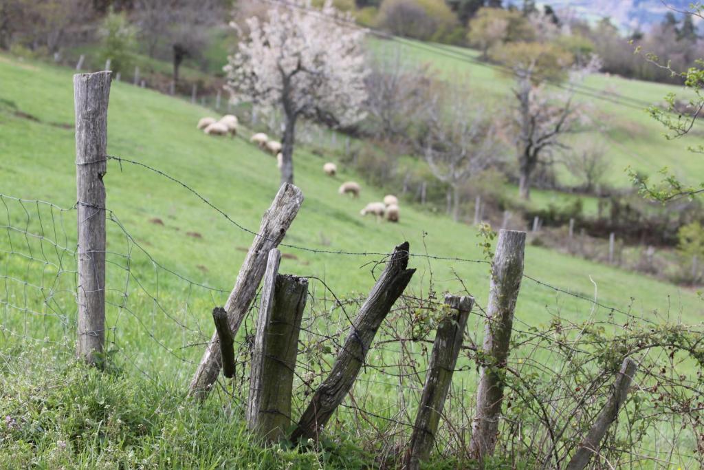La Bastide De Fontaille Bed & Breakfast Saint-Félicien Eksteriør bilde